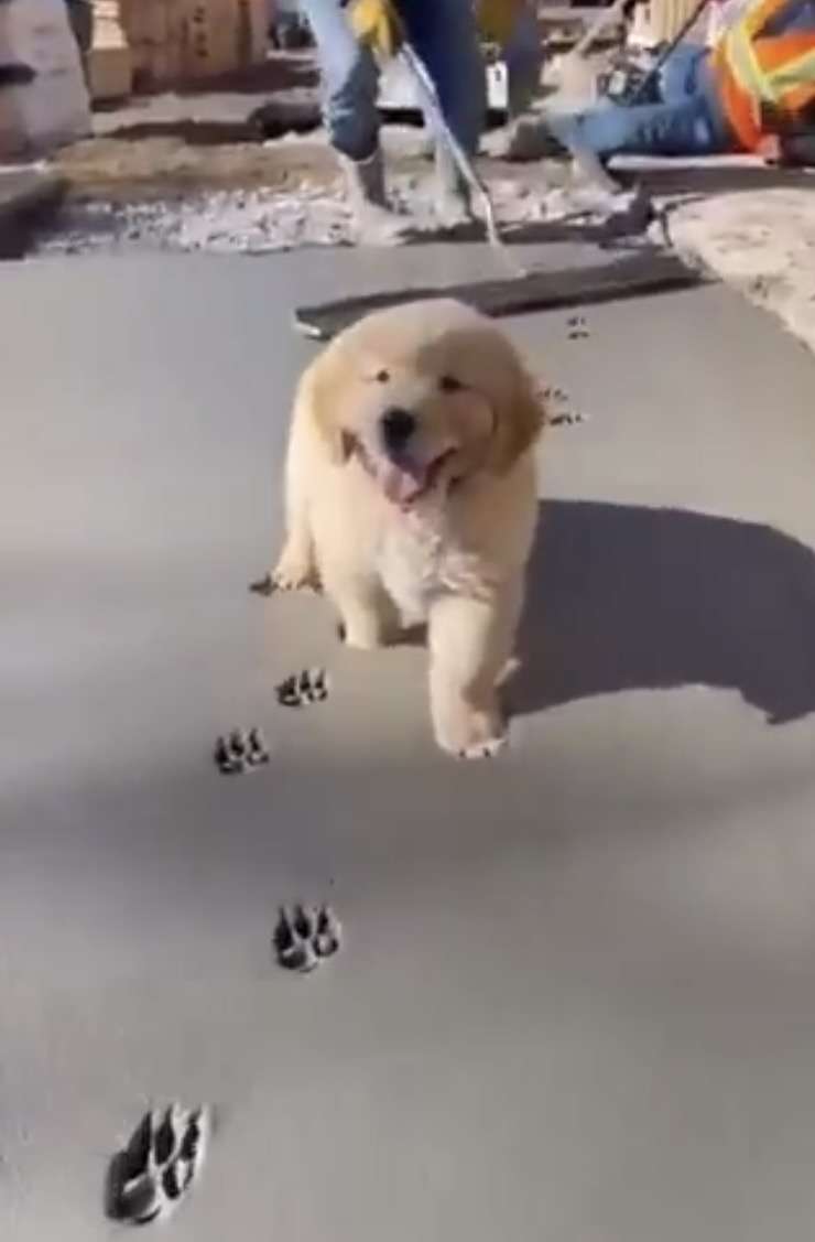 見たら「あっ！」と言うかもしれないトピ