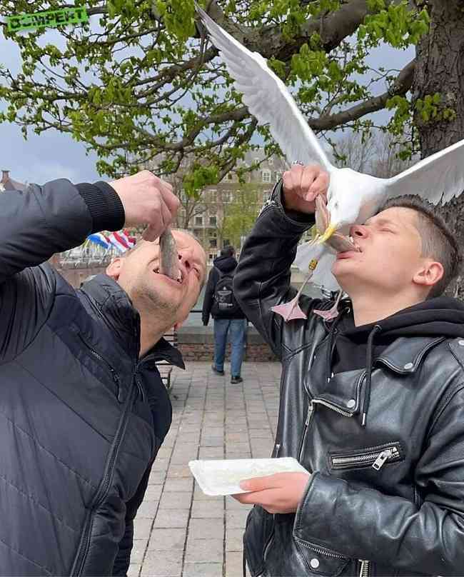 見たら「あっ！」と言うかもしれないトピ