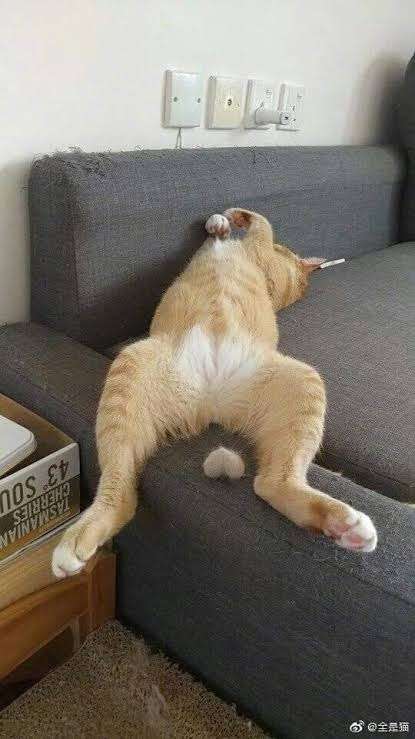 見たら「あっ！」と言うかもしれないトピ