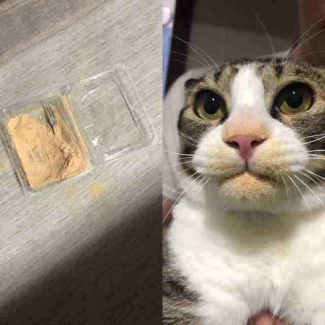 見たら「あっ！」と言うかもしれないトピ