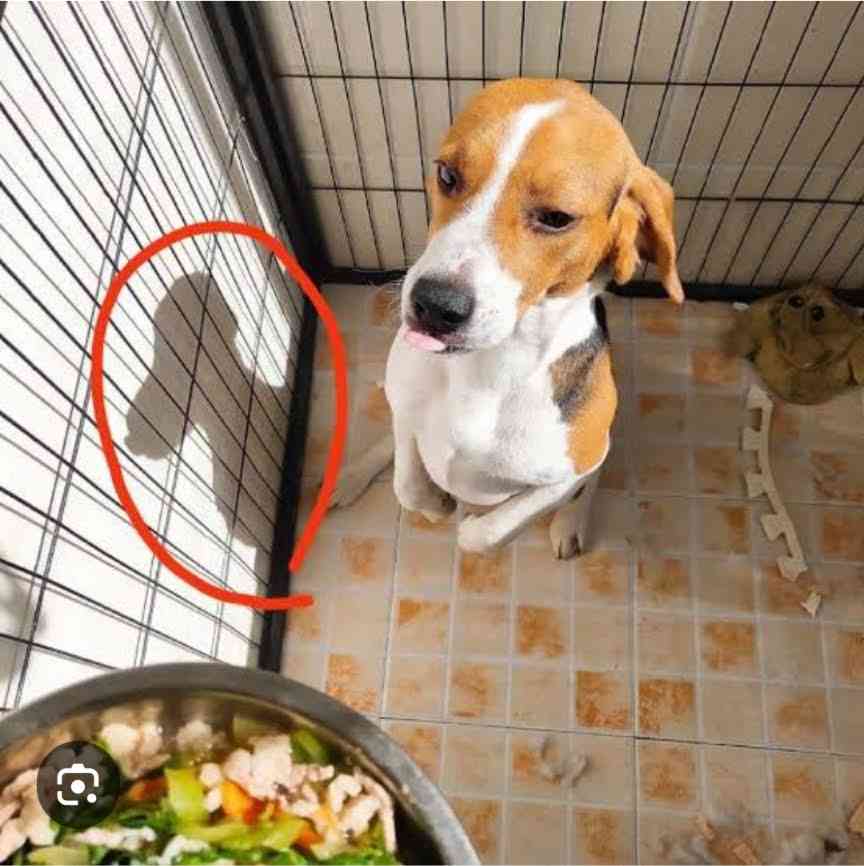 見たら「あっ！」と言うかもしれないトピ