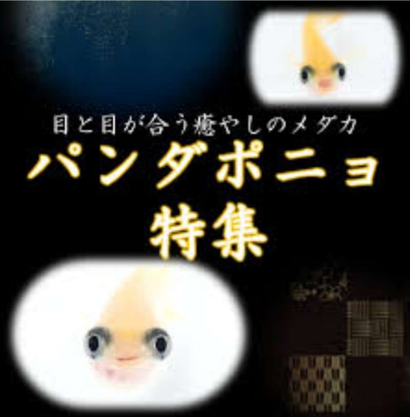 【ネタ大歓迎】「その笑顔、プライスレス」のトピ！