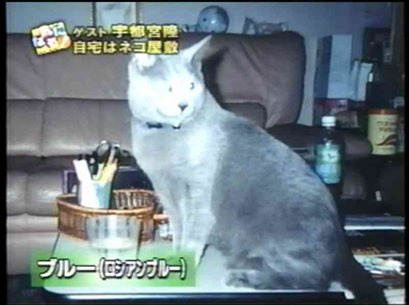 宇都宮隆さん語るトピ。