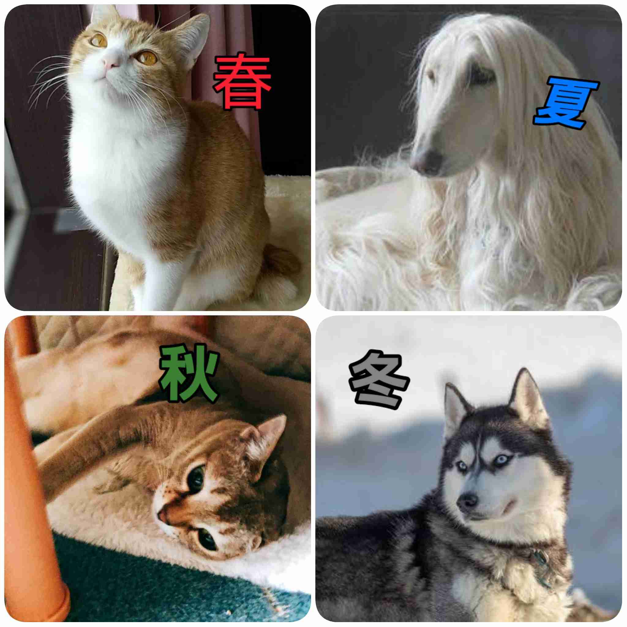 どんなに頑張っても垢抜けない人とそんなに頑張んなくても洗練された雰囲気ある人の違いは？