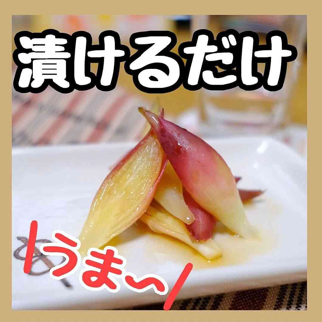 ベランダでプランター菜園してる方!