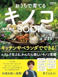 ベランダでプランター菜園してる方!