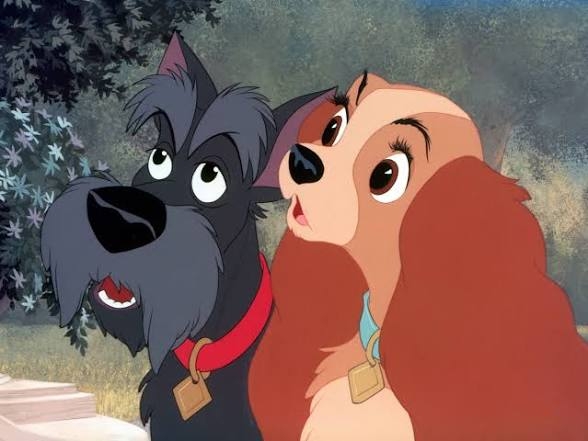 犬界にガルちゃんがあればありそうなこと