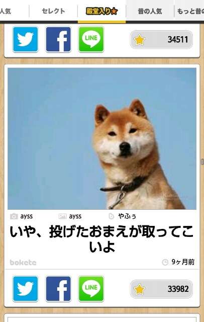 犬界にガルちゃんがあればありそうなこと