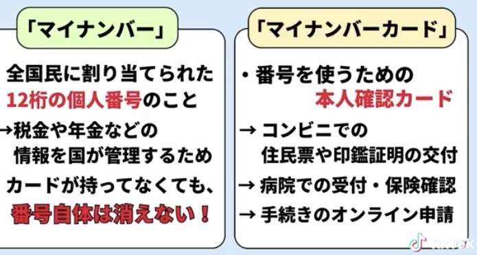 自衛隊派遣「すべきでない」52％　8割超がイラン攻撃「支持しない」　ANN世論調査