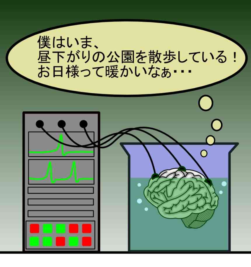 進化の過程で今後消えそうなもの