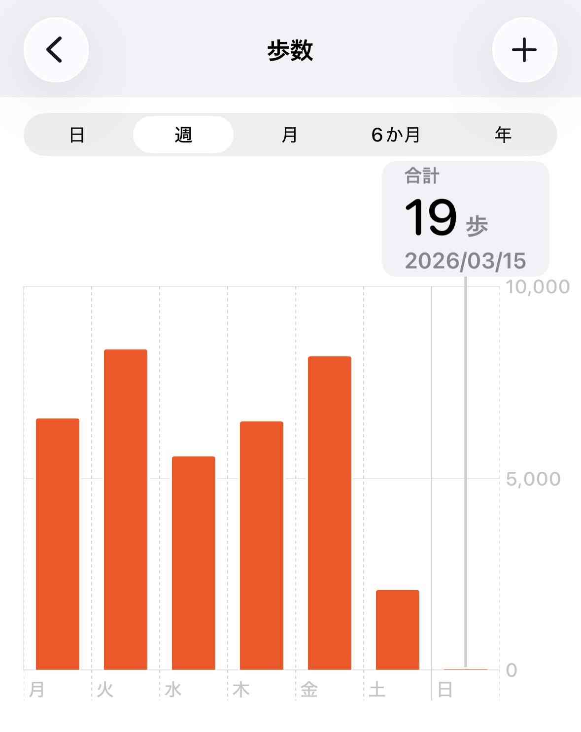 今日の歩数は?