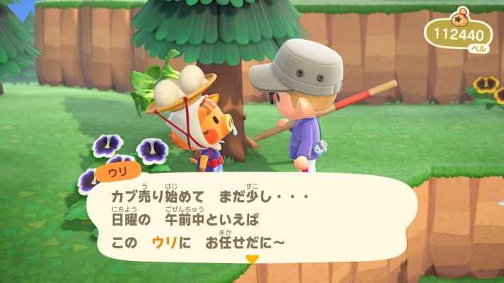 (￣◇￣;)買って後悔した株(´°̥̥̥̥̥̥̥̥ω°̥̥̥̥̥̥̥̥｀)