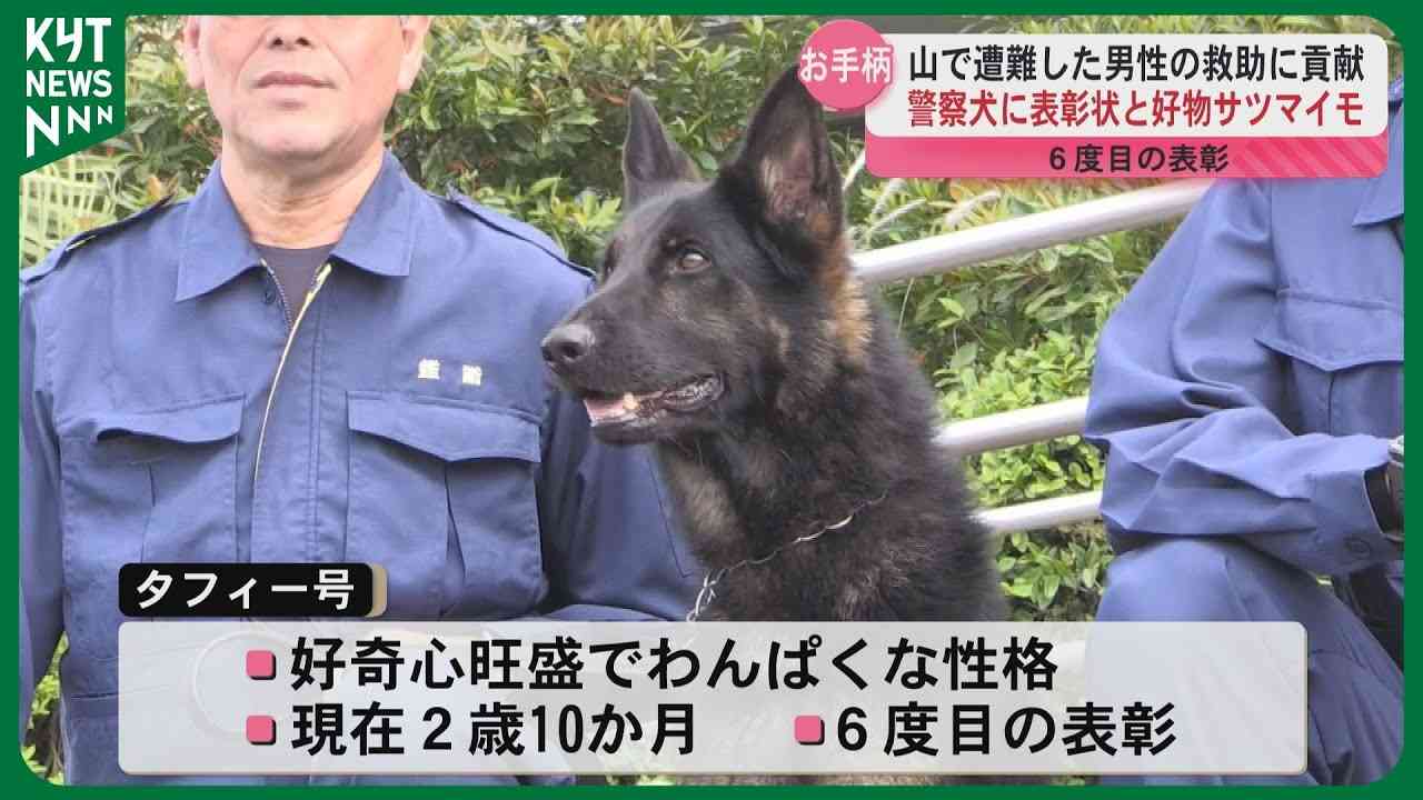 警察犬デビューするシェパード、ちょっぴり不安？しがみつく様子に「緊張してる」「頑張って」の声