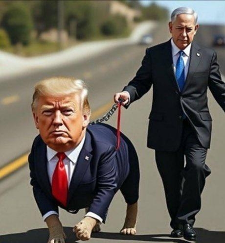 日本政府、イラン核反対を強調　米攻撃に一定理解