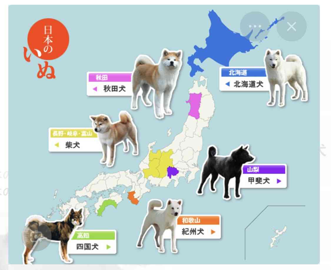 「パンダ不在の恐ろしさ、いなくなって初めて気づいた」 脱パンダ派もガチ勢も知らない、地域が抱える深刻な課題…中国が実は日本に貸したい意外な「メリット」も