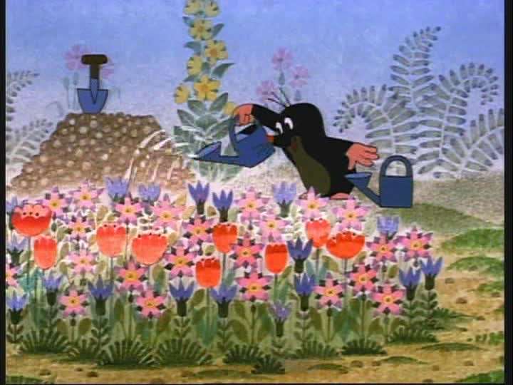 【ガーデニング】ガルちゃん園芸部【花・植物】part.55