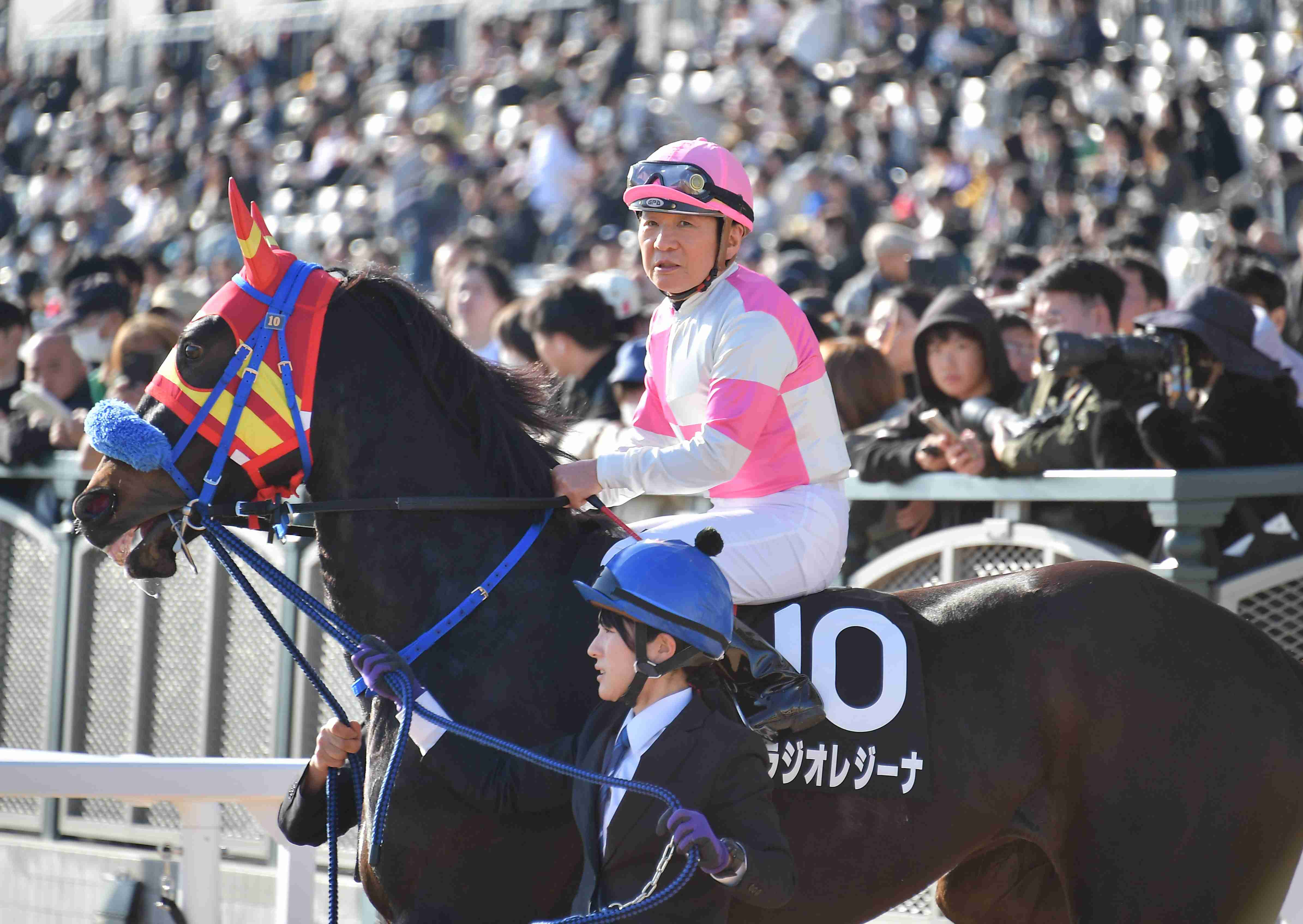競馬について語ろう🏇【パート2】
