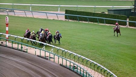 競馬について語ろう🏇【パート2】