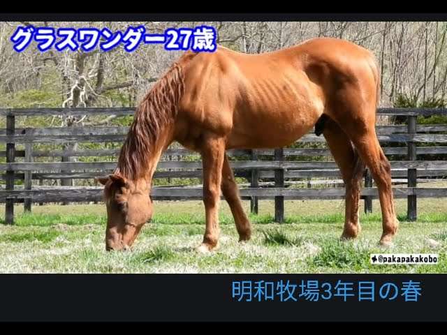 競馬について語ろう🏇【パート2】