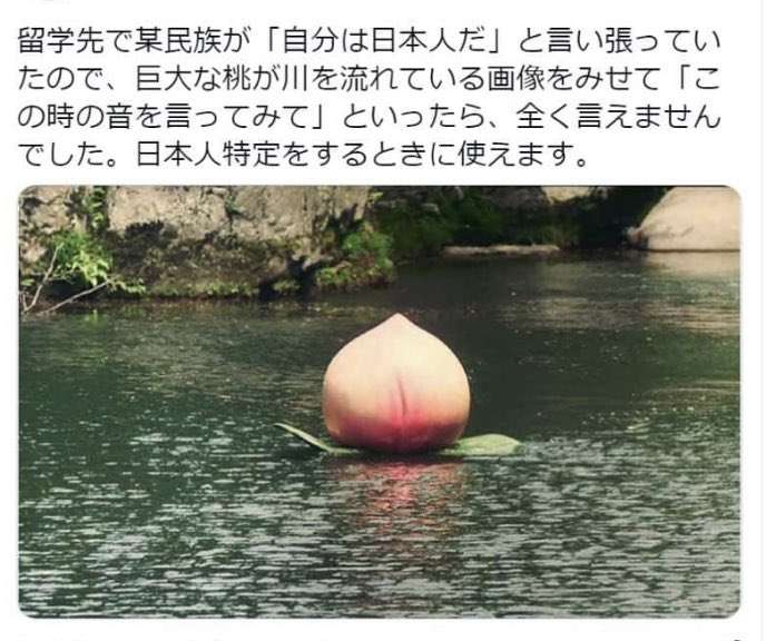 IT企業の面接に現れた「なりすまし」日本語は所々たどたどしく…　「北朝鮮技術者の可能性」も　
