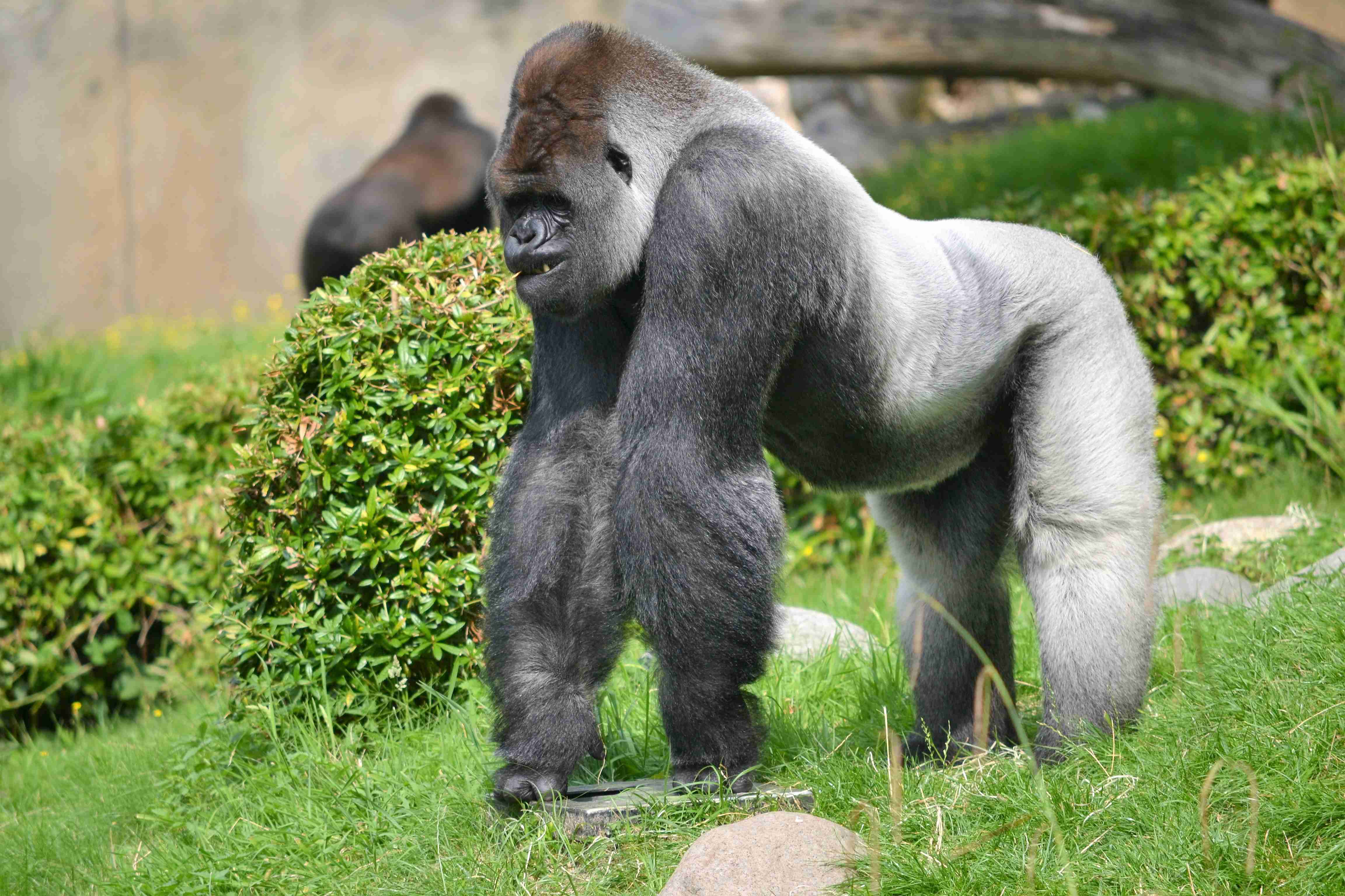 マウントしたがる人の特徴