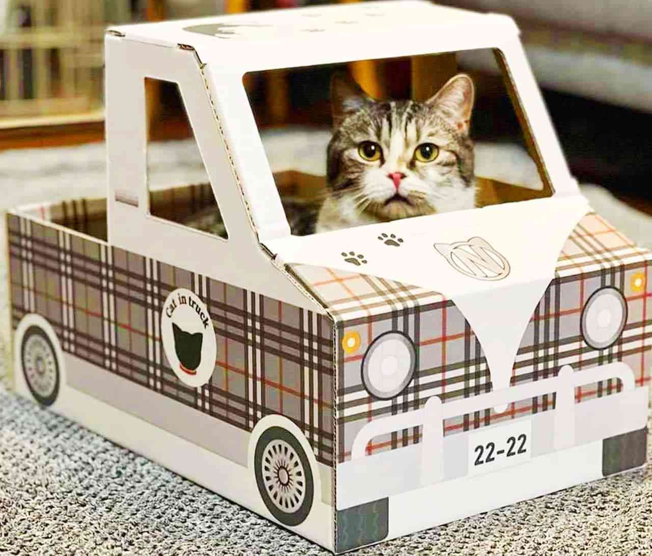 軽自動車のゴミ箱問題