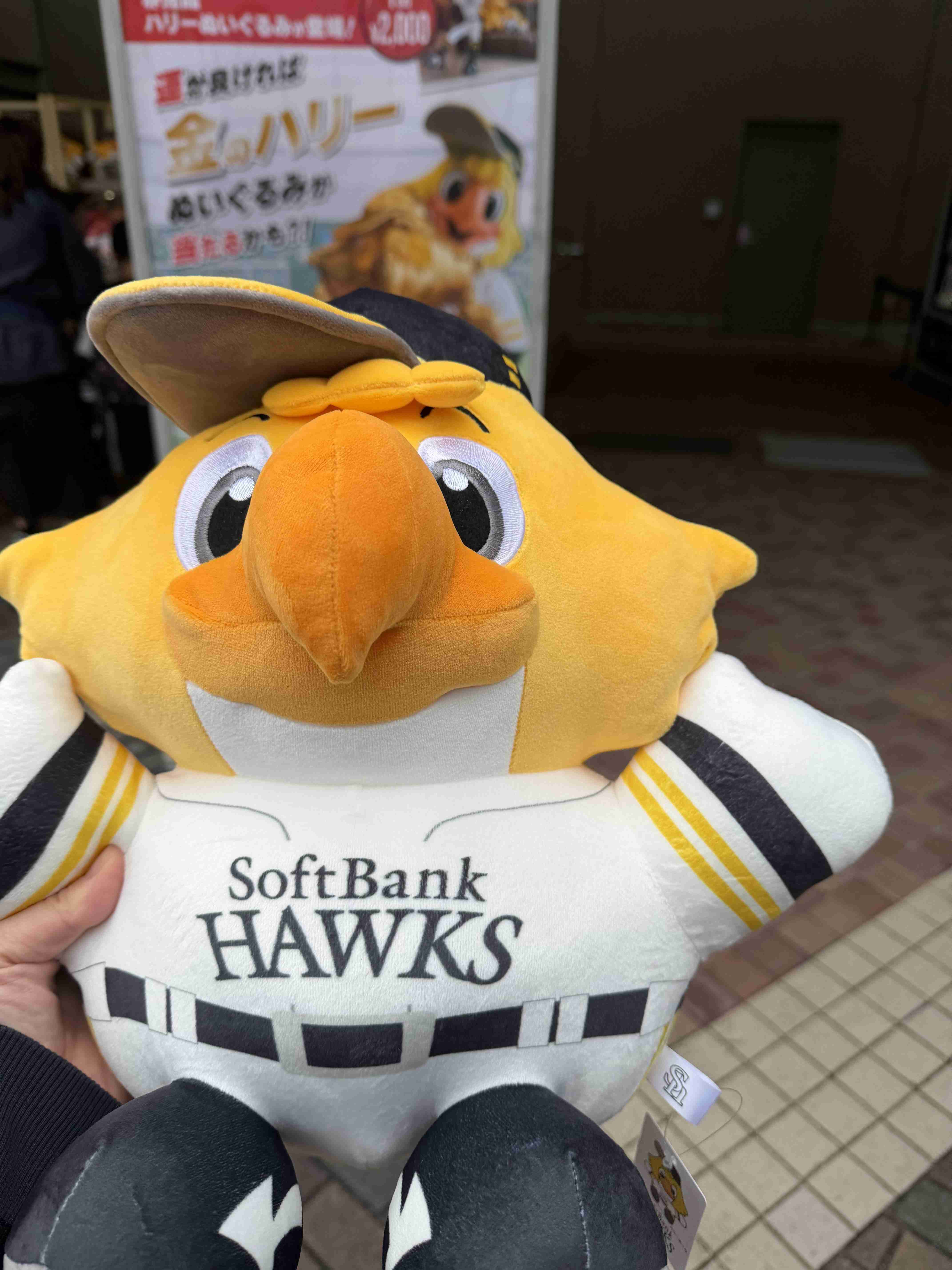 福岡ソフトバンクホークスファン集合！Part23