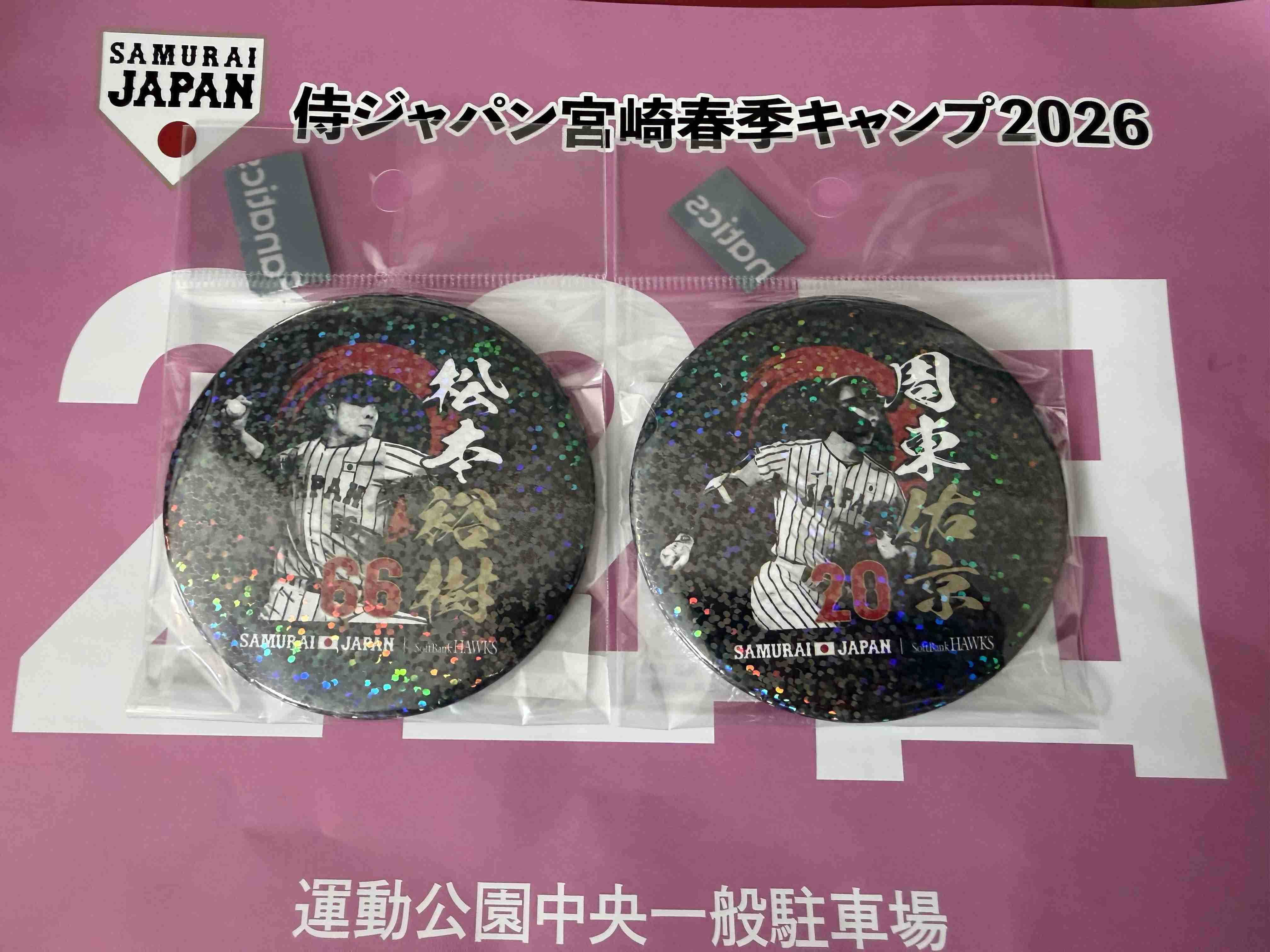 福岡ソフトバンクホークスファン集合！Part23