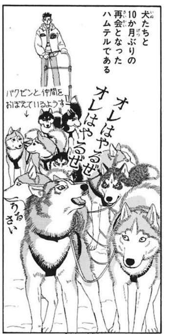 【漫画家】佐々木倫子さんの漫画を語りましょう