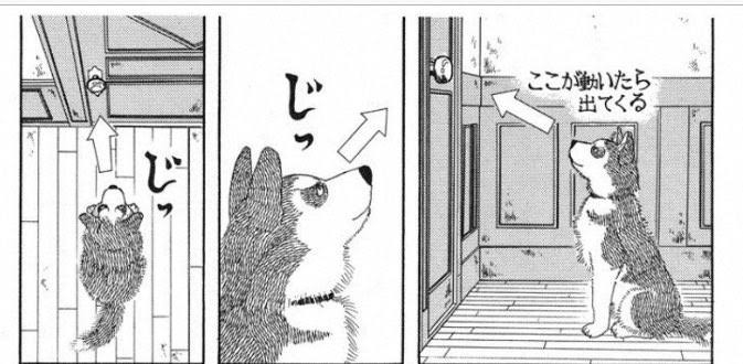 【漫画家】佐々木倫子さんの漫画を語りましょう