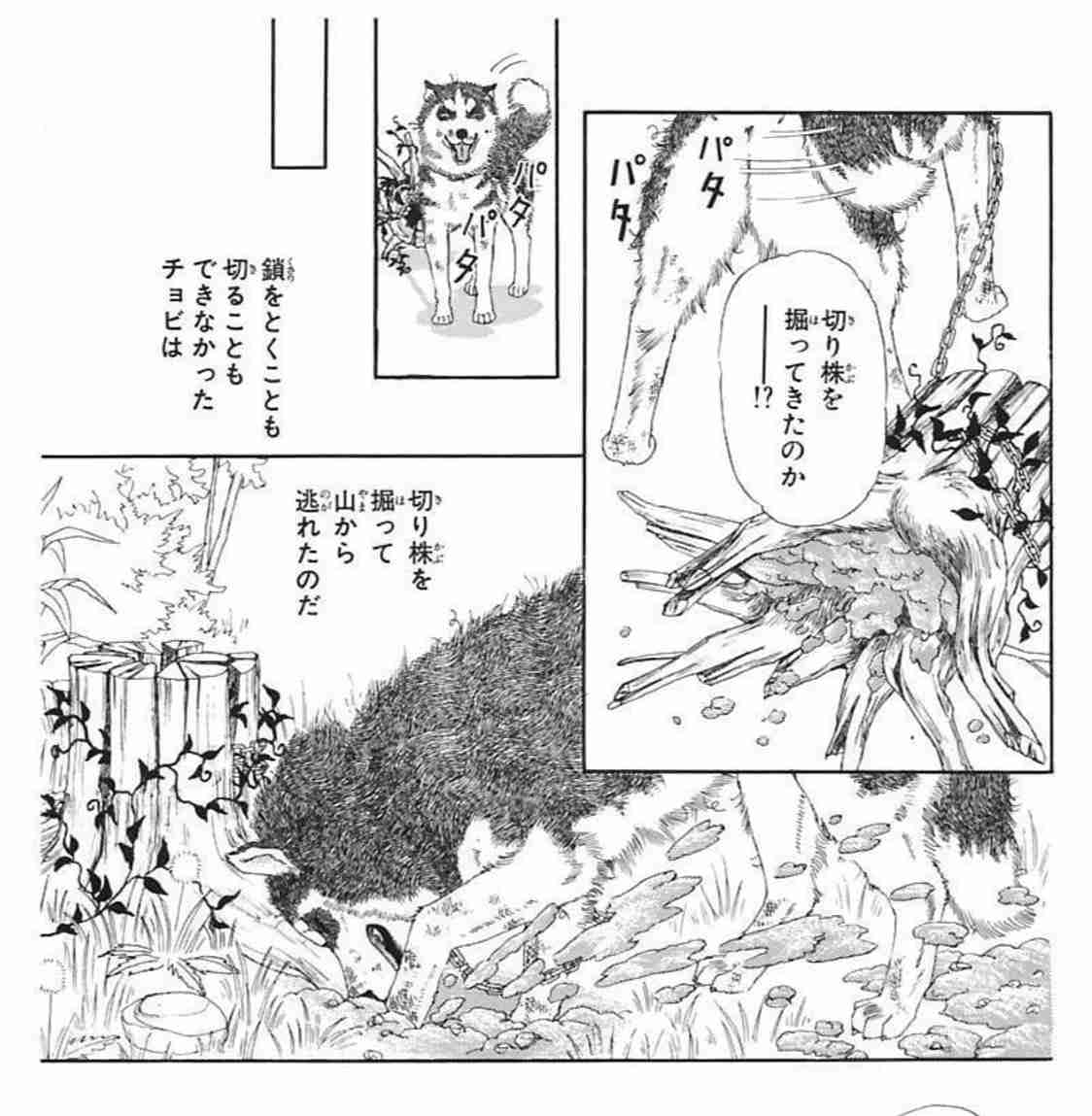【漫画家】佐々木倫子さんの漫画を語りましょう