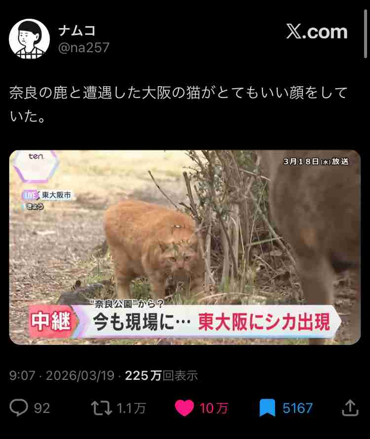 大阪市都島区の公園にシカ１頭現れる、園内を移動したり茂みに隠れたり…10日前から府内で目撃相次ぐ