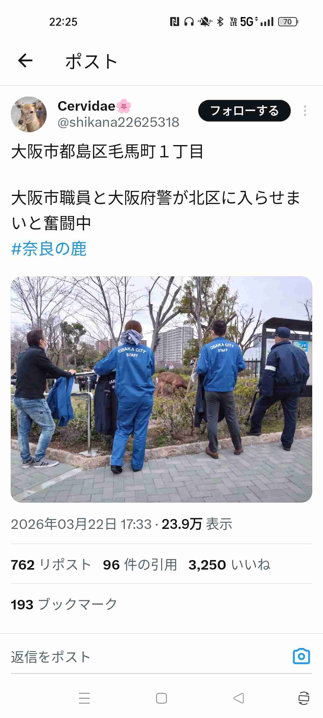 大阪市都島区の公園にシカ１頭現れる、園内を移動したり茂みに隠れたり…10日前から府内で目撃相次ぐ
