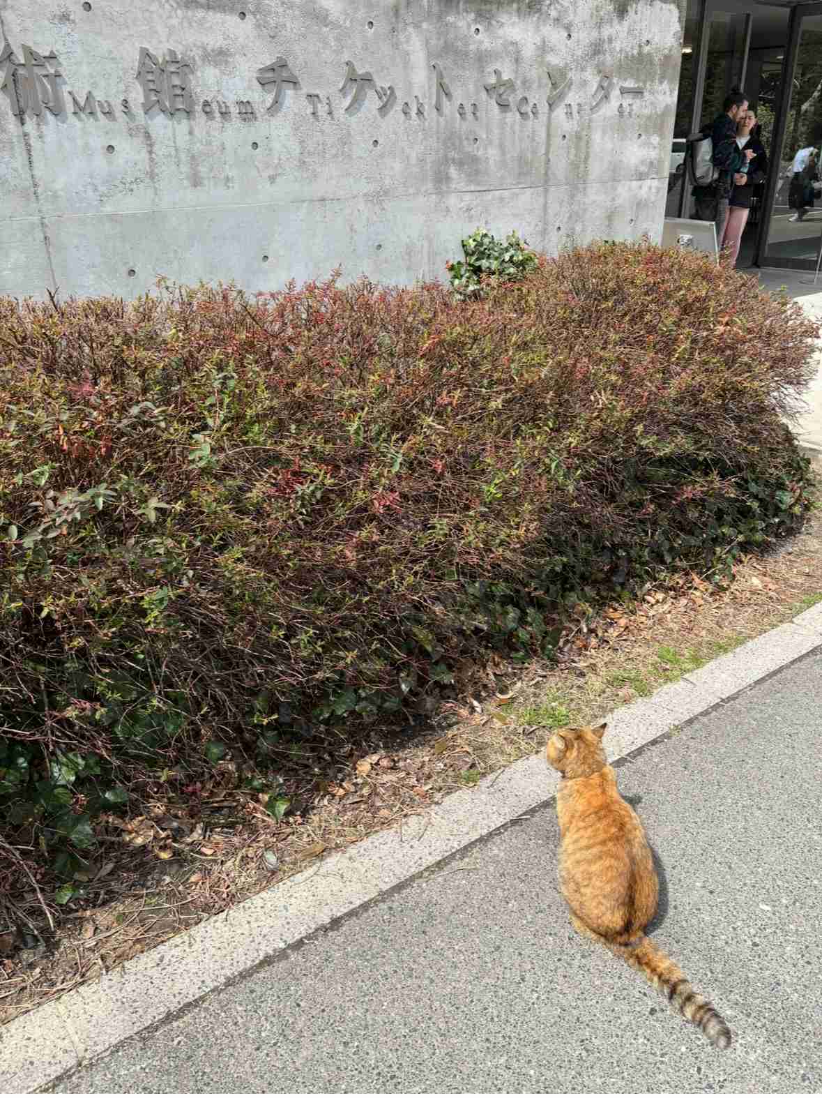 日本の離島を語りたい