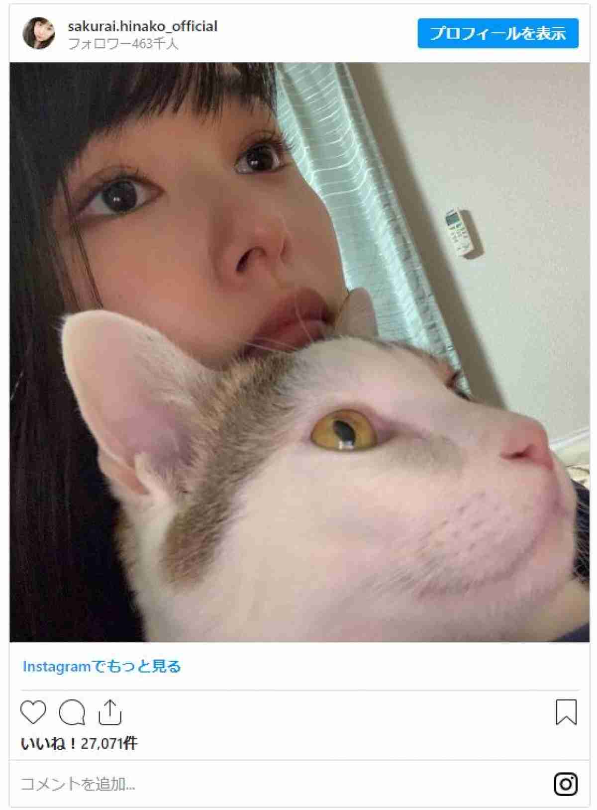 桜井日奈子『SAKAMOTO DAYS』で腹筋バキバキ“大胆露出”殺し屋にファン大興奮「清楚系」の殻破る挑戦作に