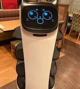 【独自】ウクライナ製無人機の導入検討　攻撃型、ロシアとの実戦経験重視