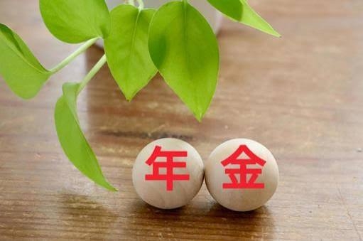 国民年金払ってる人