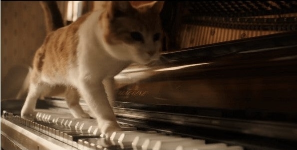 【画像】映画のワンシーンを貼ると観たことある人が作品名を当ててくれるトピPart23