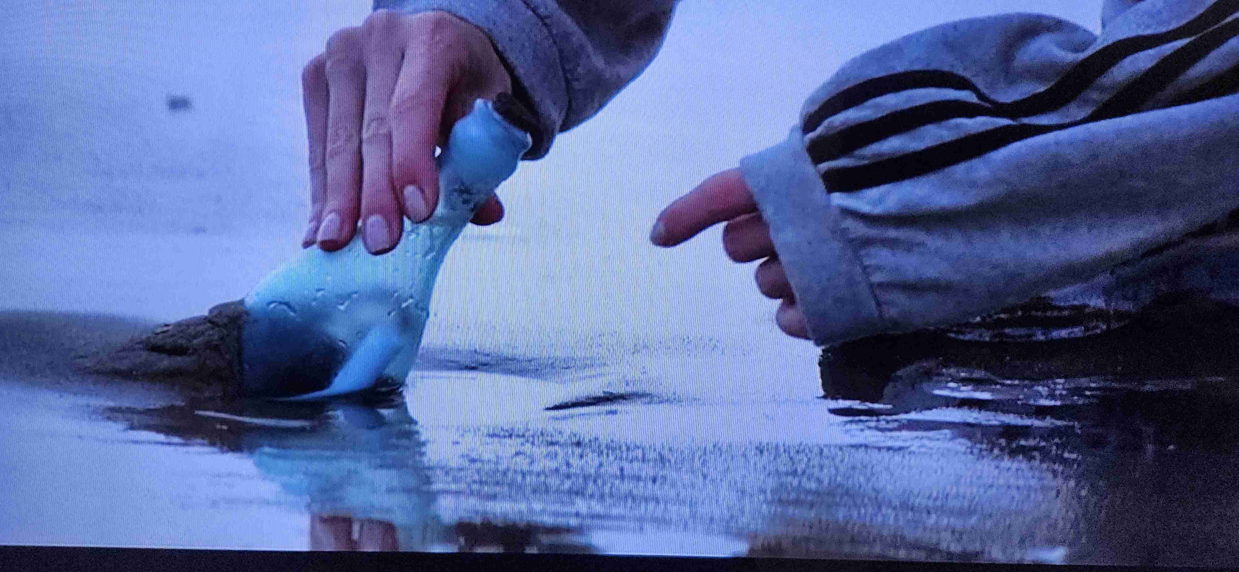 【画像】映画のワンシーンを貼ると観たことある人が作品名を当ててくれるトピPart23