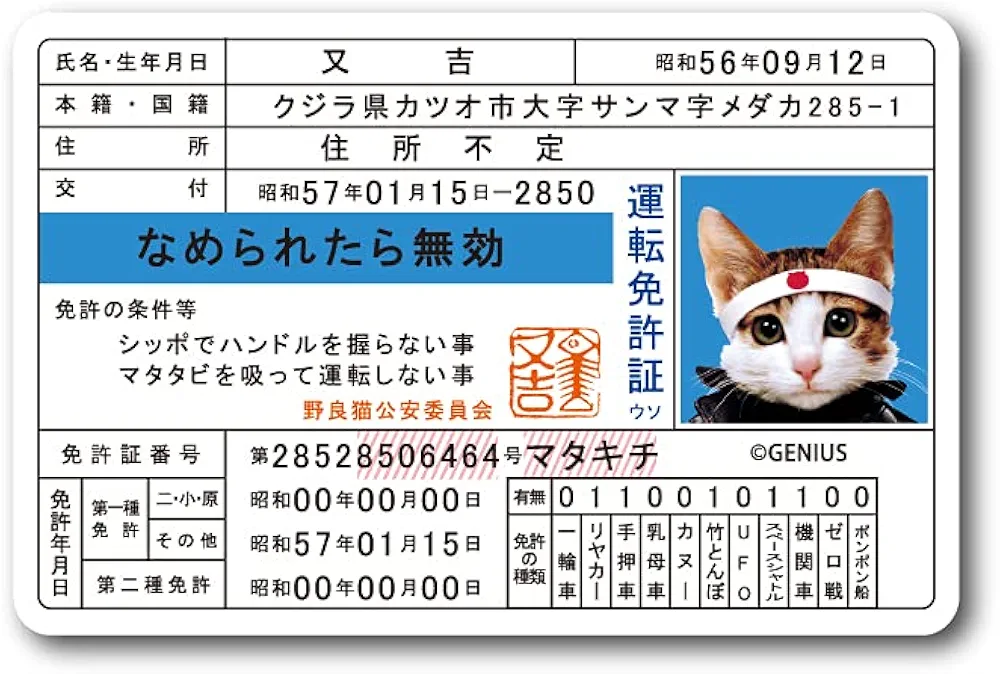 小さい子供いるのに免許ないorペーパーの人いますか？