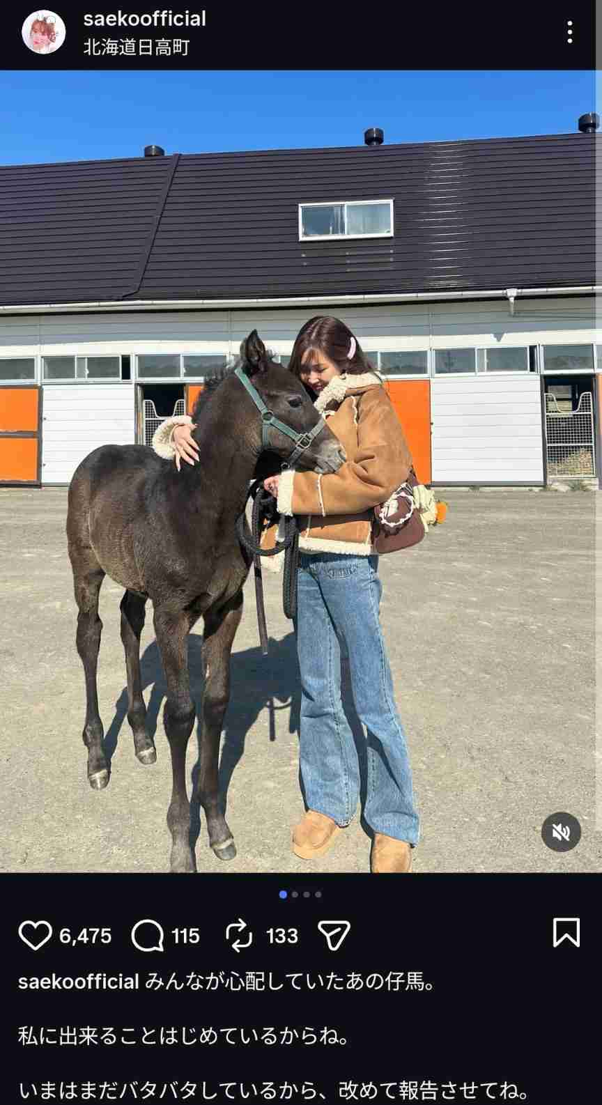 「コラ! ふざけるな!」仔馬を殴る蹴る...動画拡散で波紋 競走馬牧場は「しつけ」と説明、北海道「対応を検討」