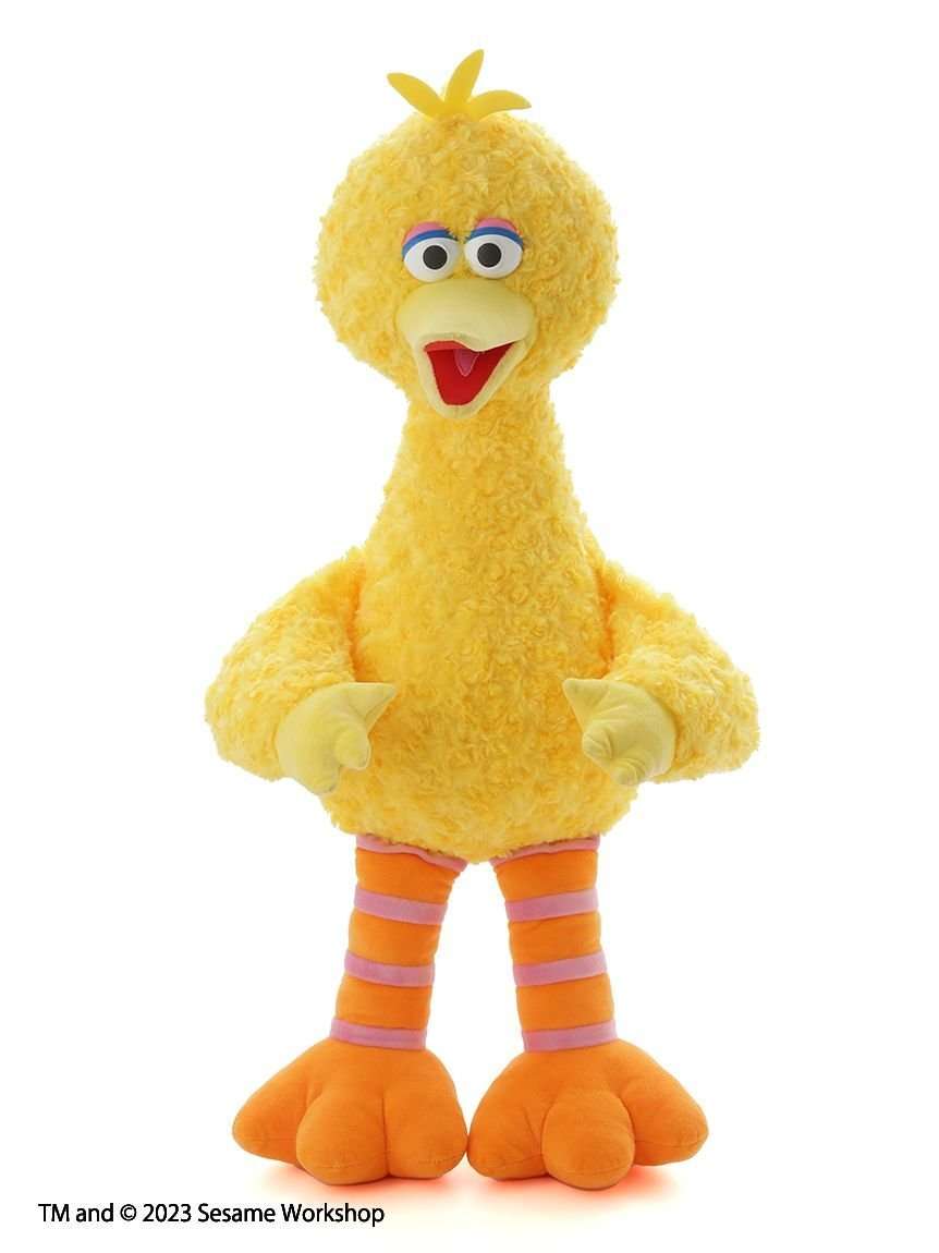 「改めて銭ゲバ」1.5億円脱税・宮崎麗果の悪質手口＆金満生活　テレビが異例の“長尺”放送で批判爆増