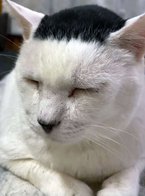 前髪自分で切ってる人