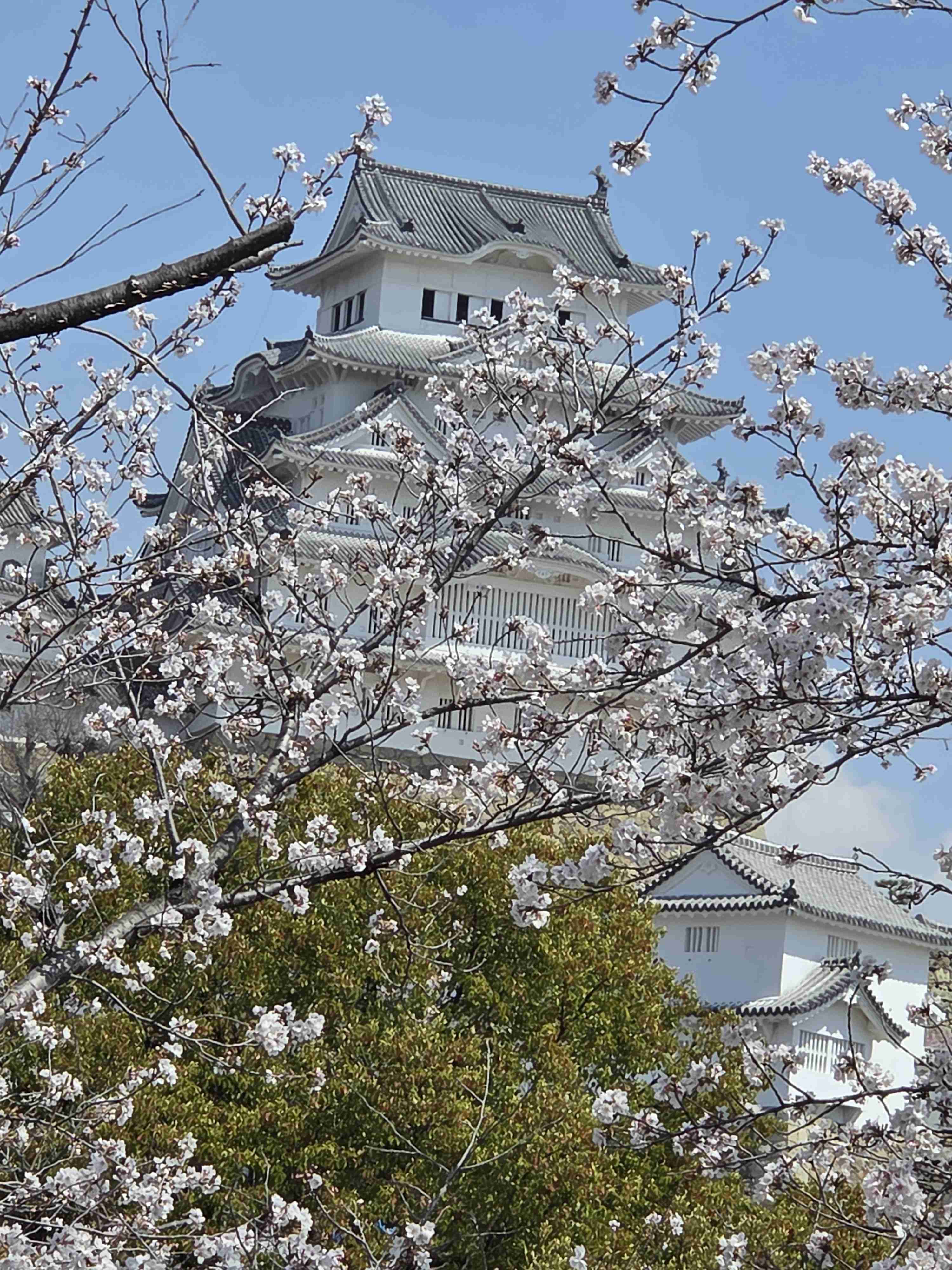 春がきたなぁと感じる時