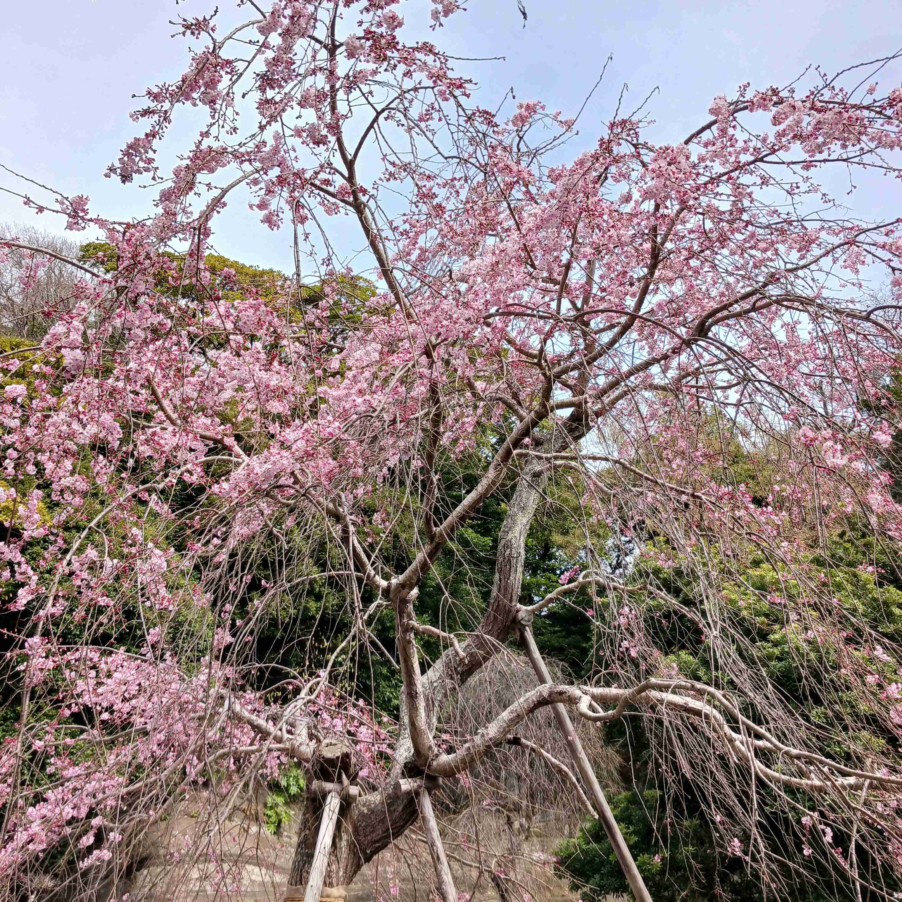春がきたなぁと感じる時