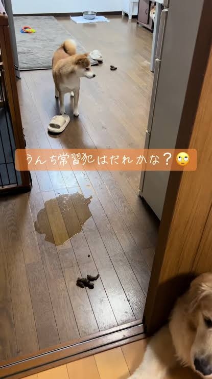 潔癖症あるある