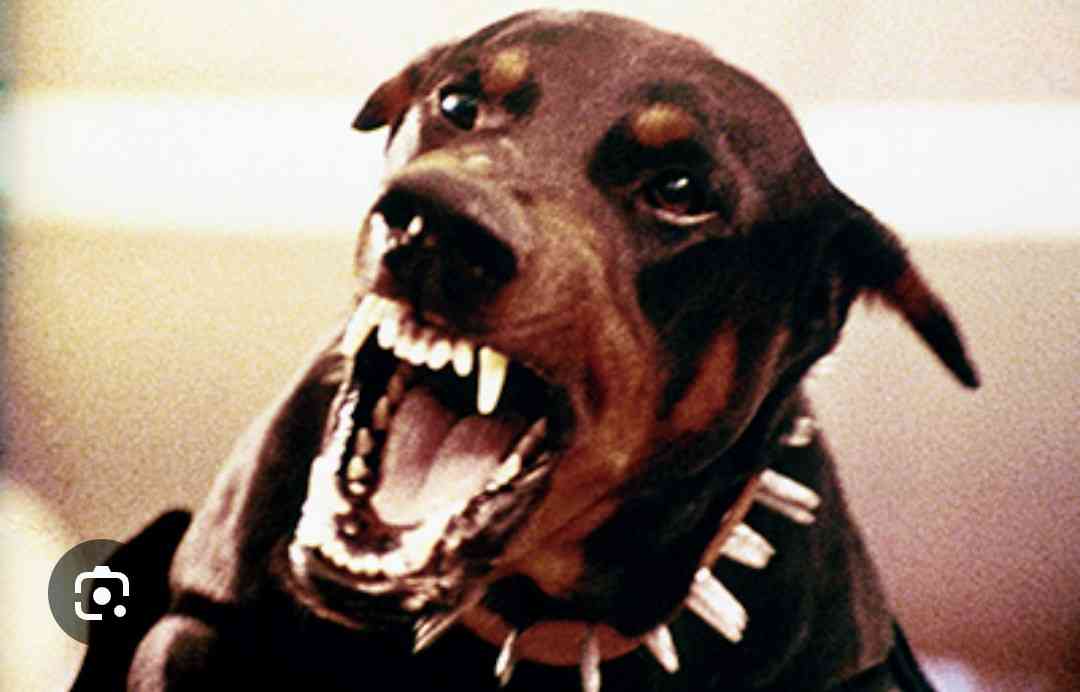 もう一度見たいのにどこにもない作品 Part4