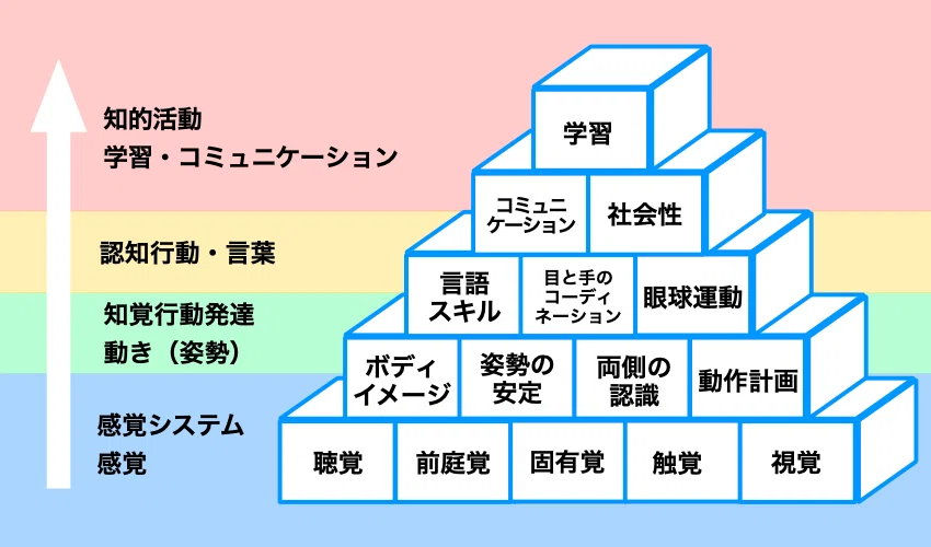 幼児教育何しています?