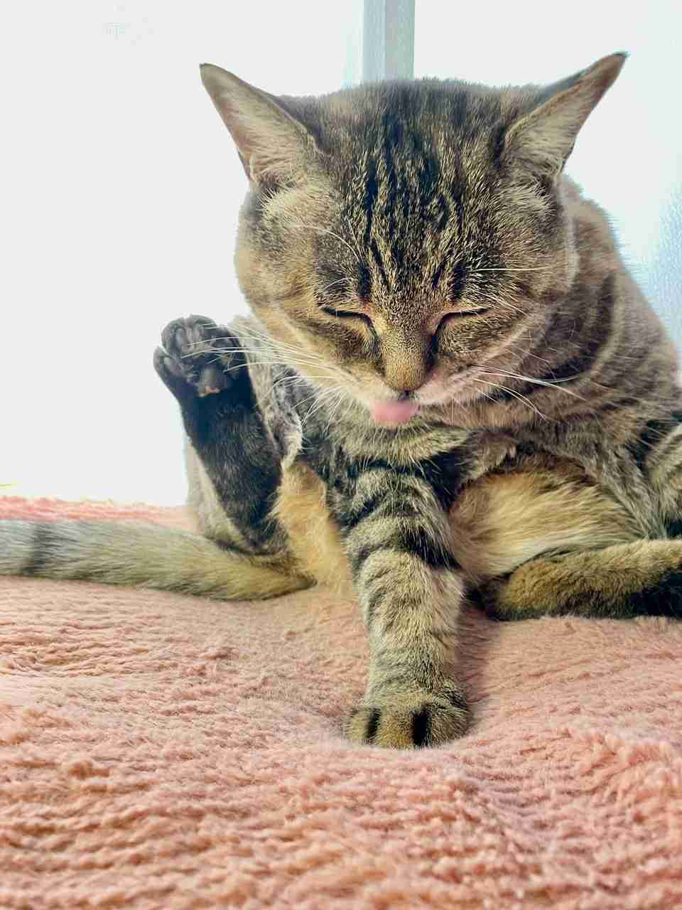 山口一郎さん(サカナクション)好きな方