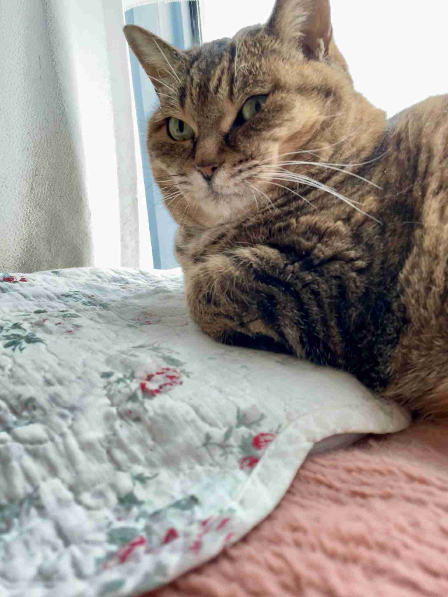 山口一郎さん(サカナクション)好きな方